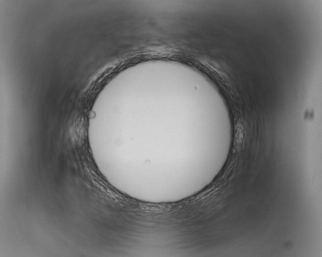 X0000115621254200911101048
