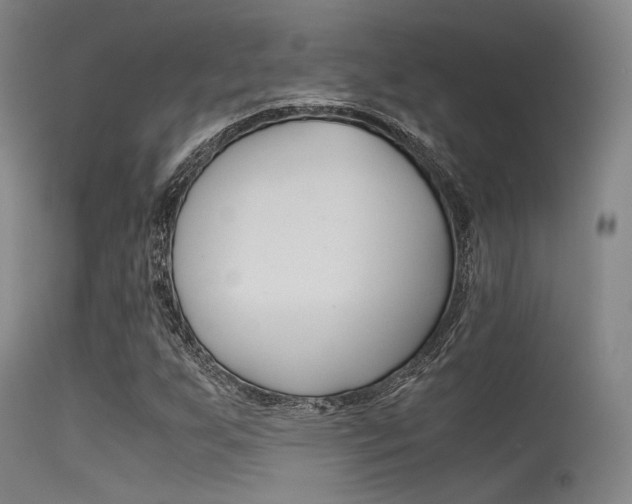 X0000115621255200911101048