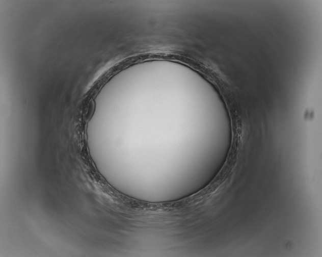 X0000115621256200911101048