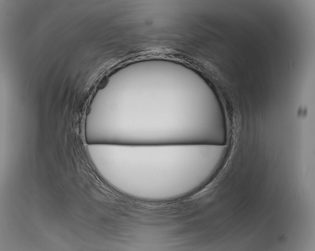 X0000115621257200911101048