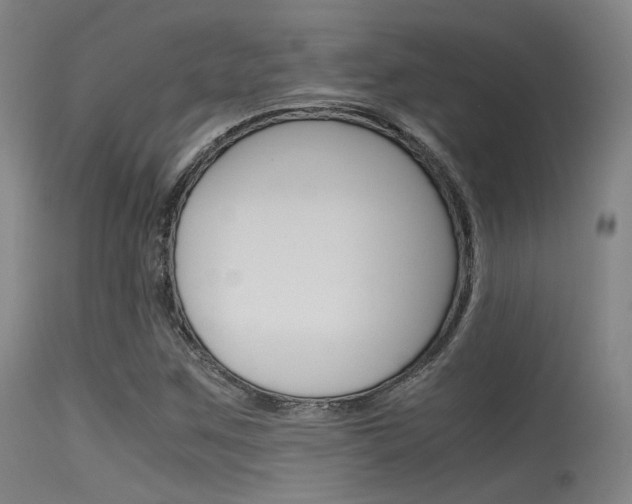 X0000115621259200911101048