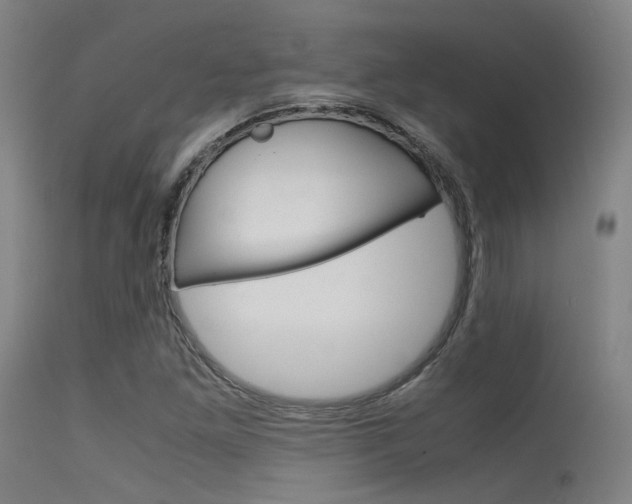 X0000115621261200911101048