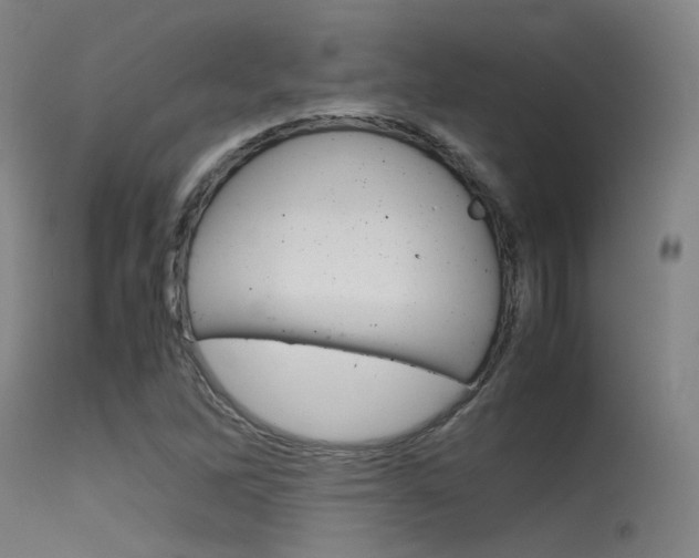 X0000115621262200911101048