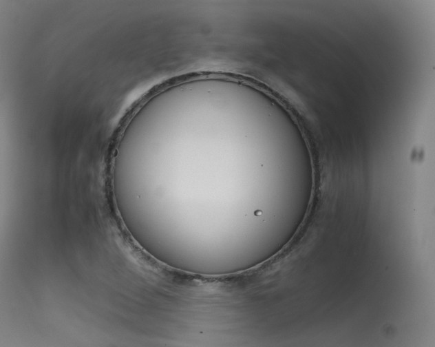 X0000115621264200911101048