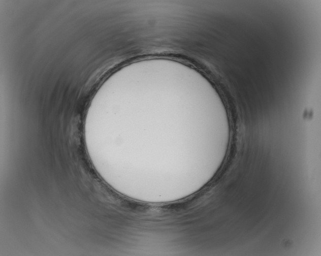 X0000115621265200911101048