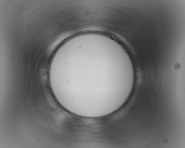 X0000115621266200911101048