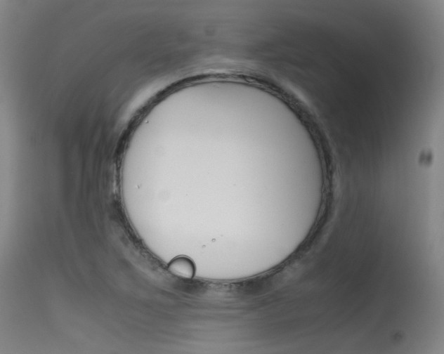 X0000115621267200911101048