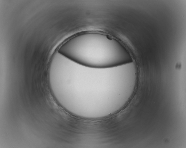X0000115621268200911101048