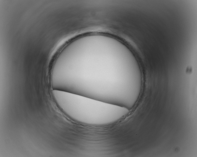 X0000115621270200911101048