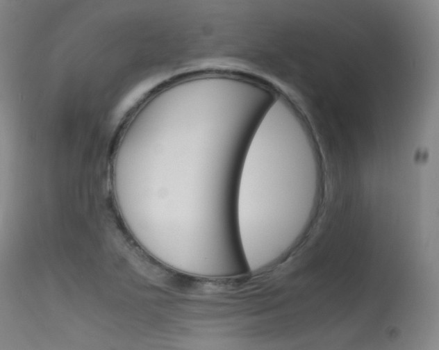 X0000115621271200911101048