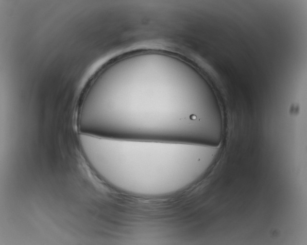 X0000115621272200911101048