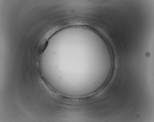 X0000115621273200911101048