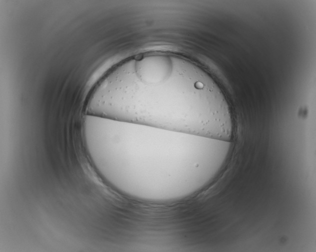 X0000115621274200911101048