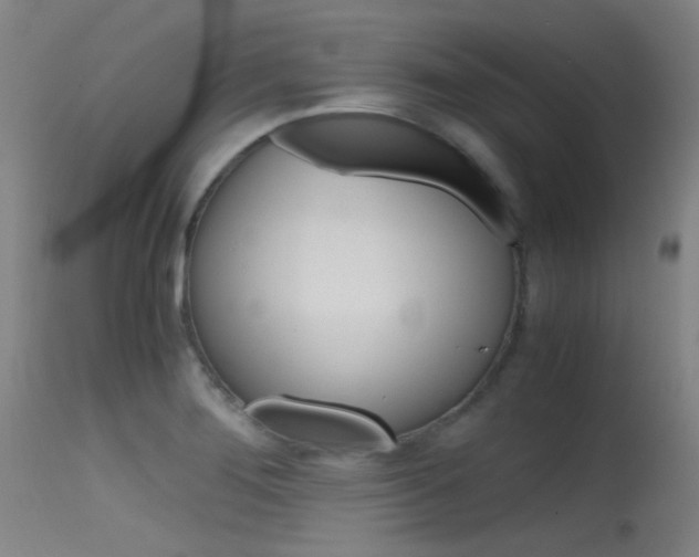 X0000115621276200911101048