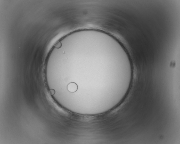 X0000115621278200911101048
