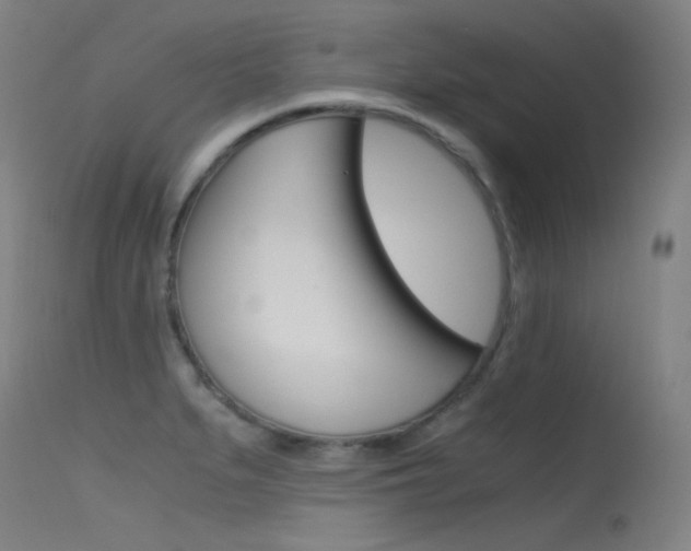 X0000115621279200911101048