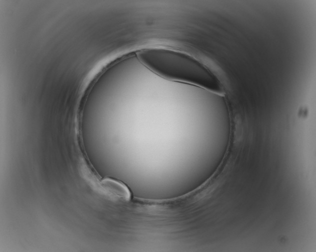 X0000115621280200911101048