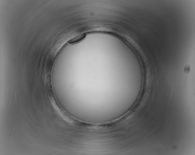 X0000115621281200911101048
