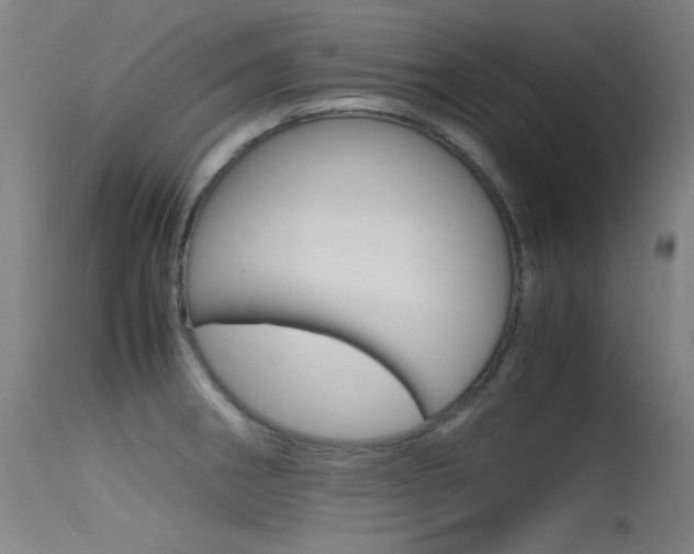 X0000115621282200911101048
