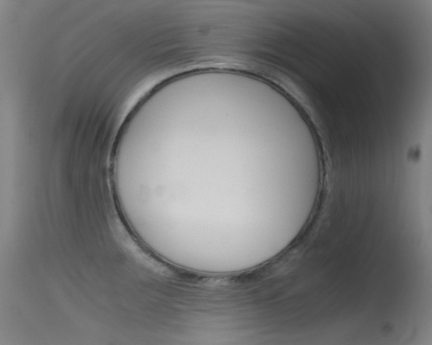 X0000115621283200911101048