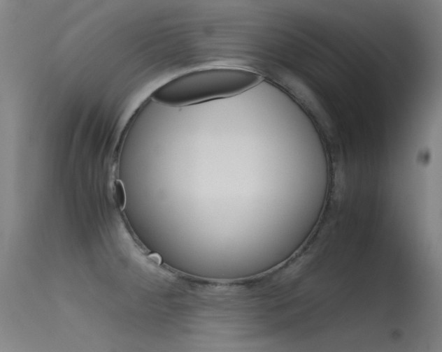 X0000115621284200911101048