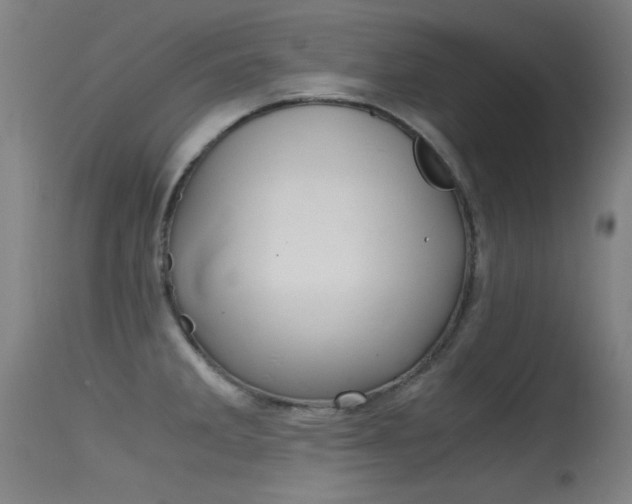 X0000115621285200911101048