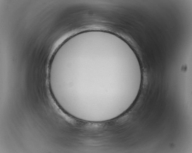 X0000115621286200911101048