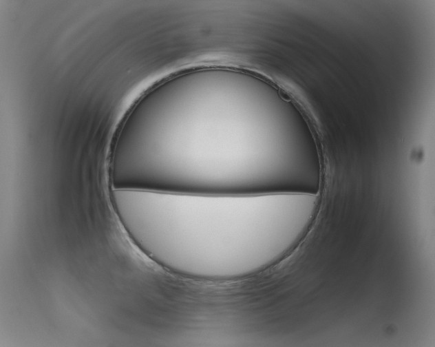 X0000115621288200911101048