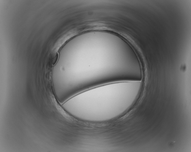 X0000115621289200911101047