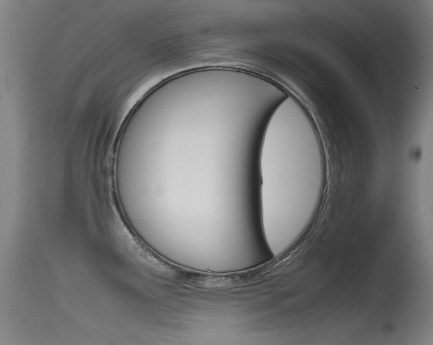 X0000115621291200911101047