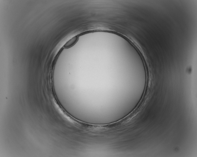 X0000115621293200911101047