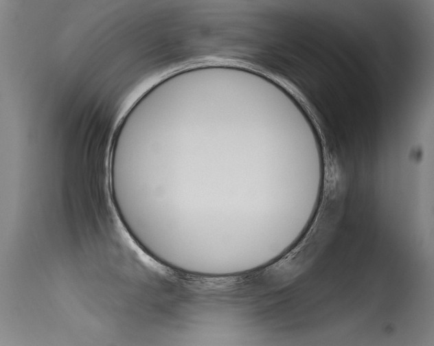 X0000115621294200911101047