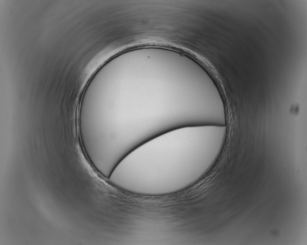 X0000115621295200911101047
