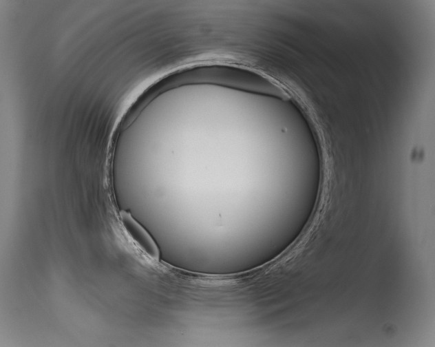 X0000115621296200911101047