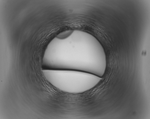 X0000115621297200911101047