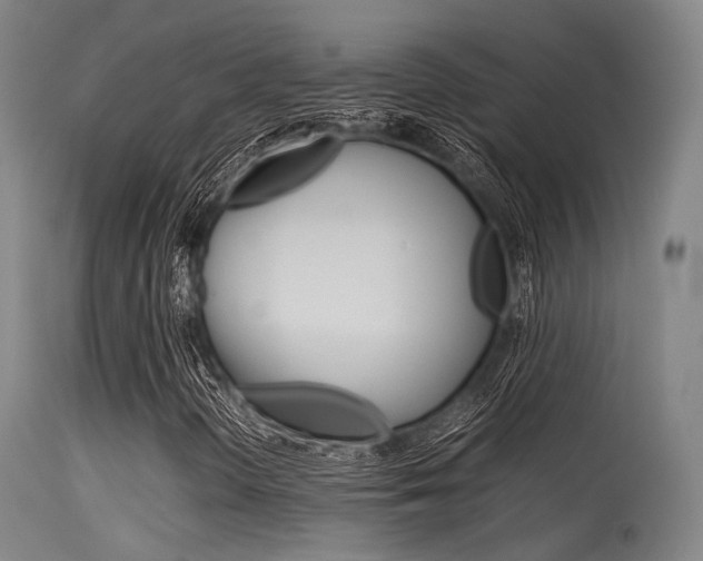 X0000115621298200911101047