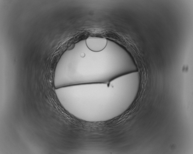 X0000115621301200911101047
