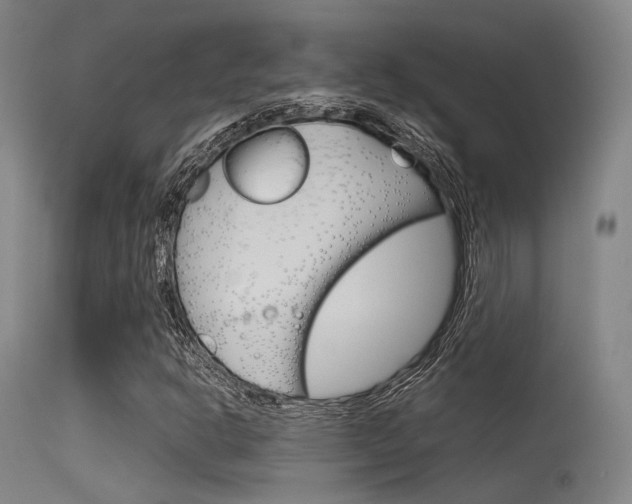 X0000115621302200911101047