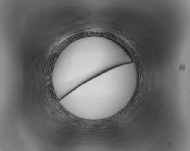 X0000115621303200911101047