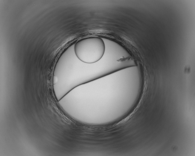 X0000115621305200911101047