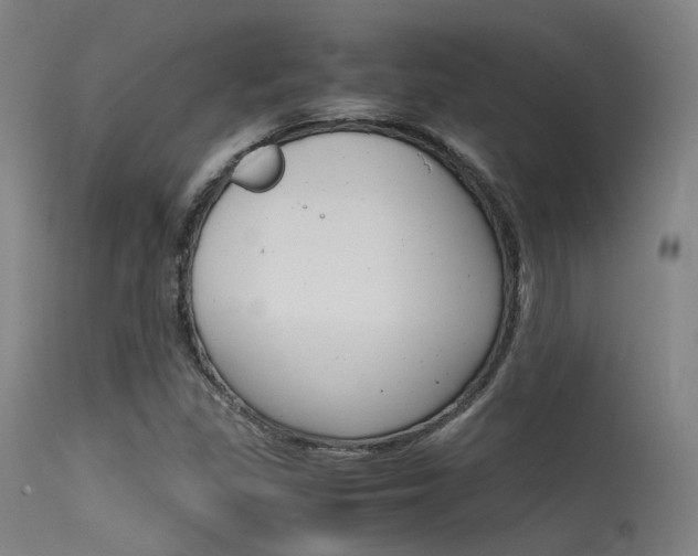 X0000115621309200911101047