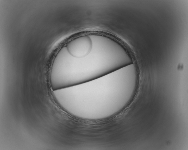 X0000115621311200911101047