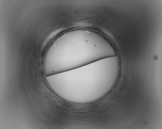 X0000115621315200911101047