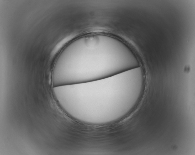 X0000115621317200911101047