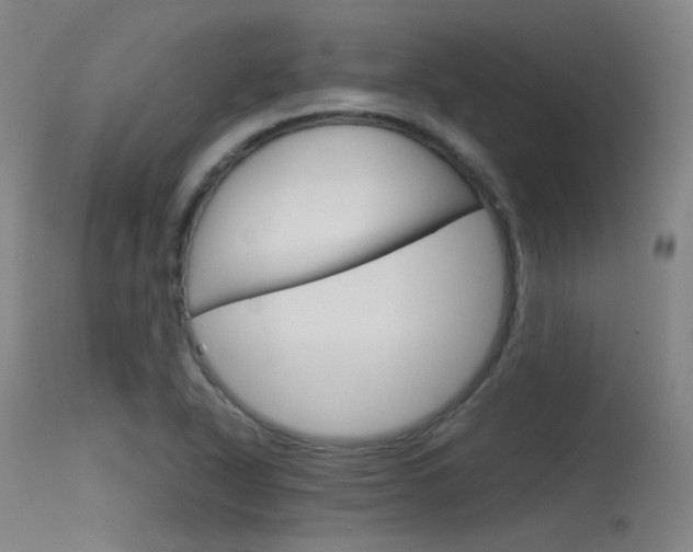X0000115621318200911101047
