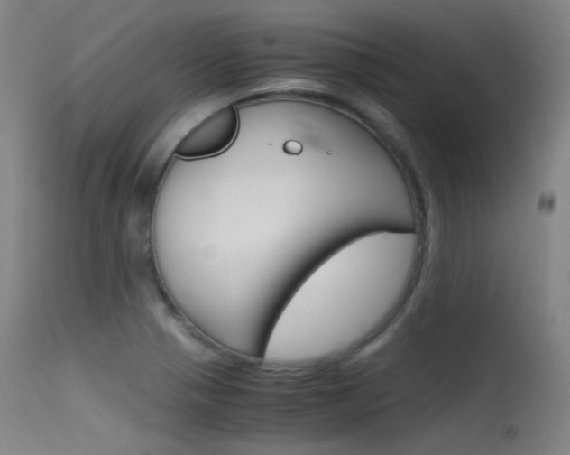 X0000115621321200911101047