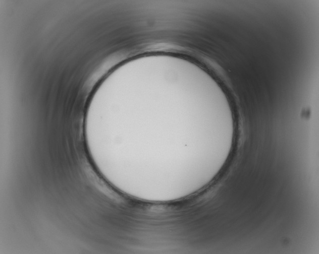 X0000115621322200911101047