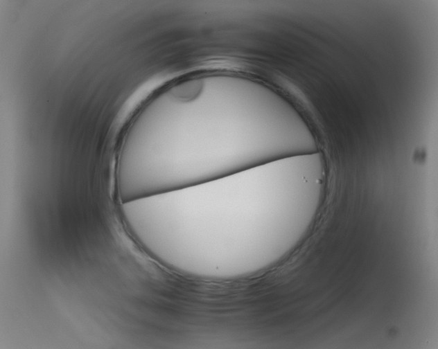 X0000115621323200911101047