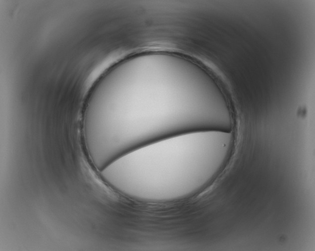 X0000115621325200911101047