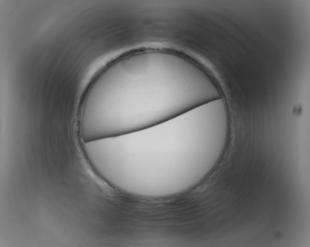 X0000115621327200911101047